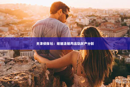 天津侦探社：婚姻法婚内出轨财产分割