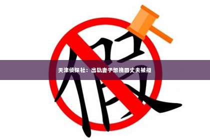 天津侦探社：出轨妻子想挽回丈夫被拒